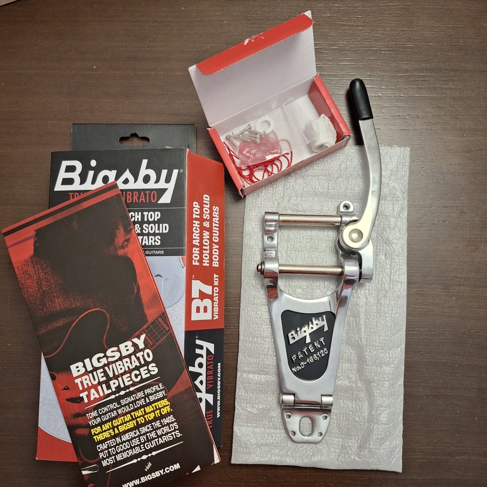 Bigsby b7 + Vibramate V7 de segunda mano · Foto 1 de 6 · Madrid · 270 €