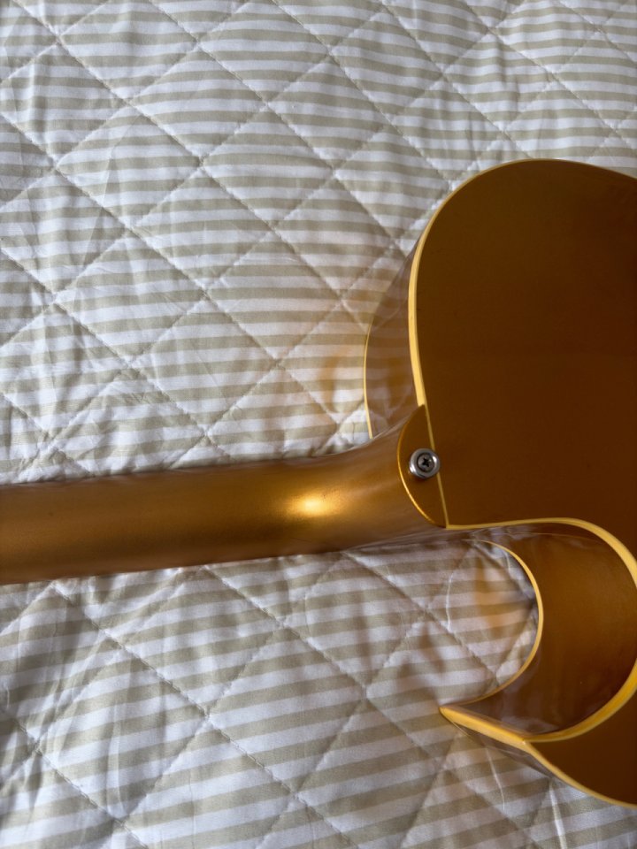 Gibson ES 295 de 1990 de segunda mano · Foto 9 de 10 · Cáceres · 4500 €