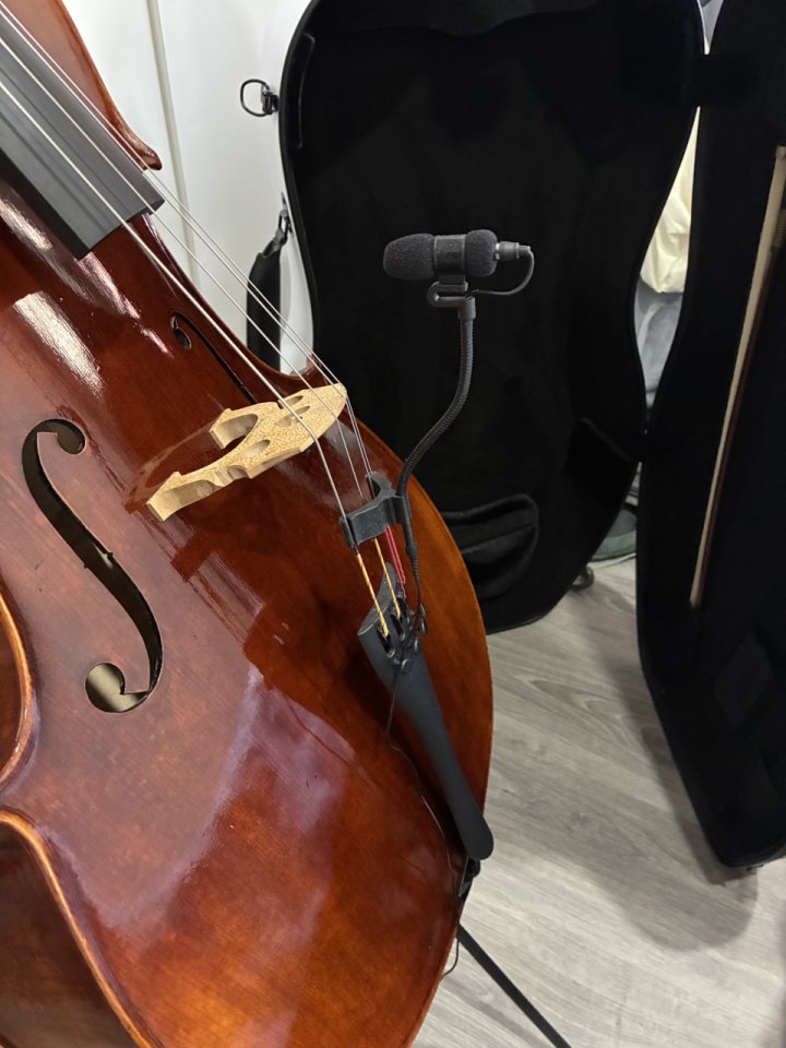 Violonchelo 4/4 premium + accesorios de segunda mano · Foto 1 de 10 · Barcelona · 5000 €