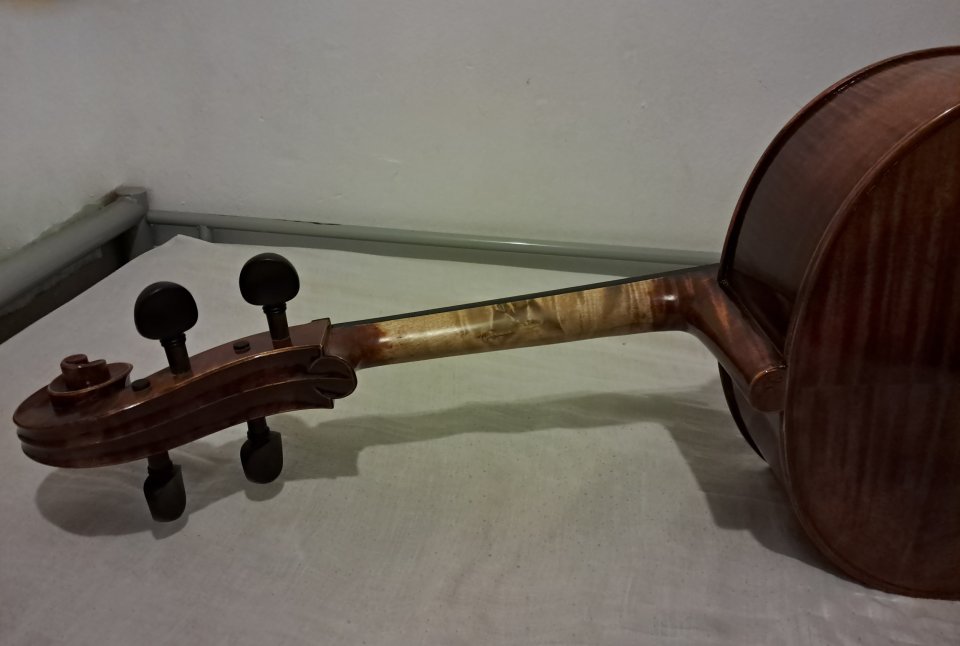 Violonchelo 4/4 premium + accesorios de segunda mano · Foto 4 de 10 · Barcelona · 5000 €