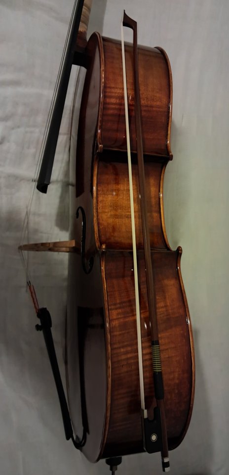 Violonchelo 4/4 premium + accesorios de segunda mano · Foto 5 de 10 · Barcelona · 5000 €