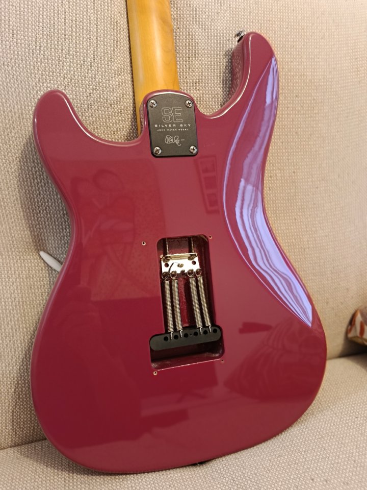 PRS SE Silver sky Dragón Fruit de segunda mano · Foto 2 de 10 · Cantabria · 600 €