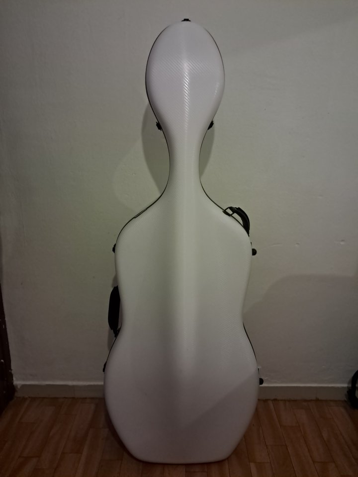 Violonchelo 4/4 premium + accesorios de segunda mano · Foto 8 de 10 · Barcelona · 5000 €