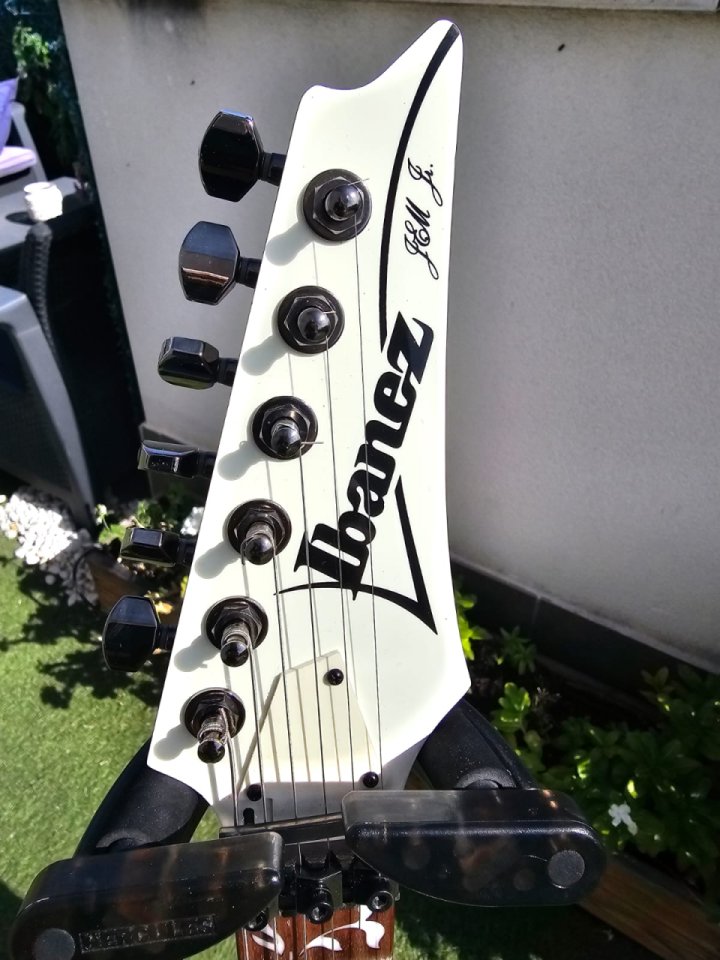 Vendo/Cambio guitarra Ibanez Steve Vai Signature