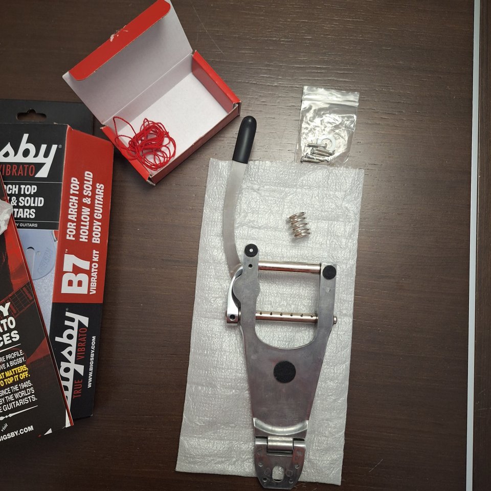 Bigsby b7 + Vibramate V7 de segunda mano · Foto 3 de 6 · Madrid · 270 €