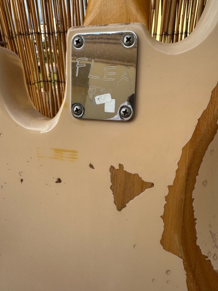 [Reservado] Fender Flea Sig Bass RDWRN SHP