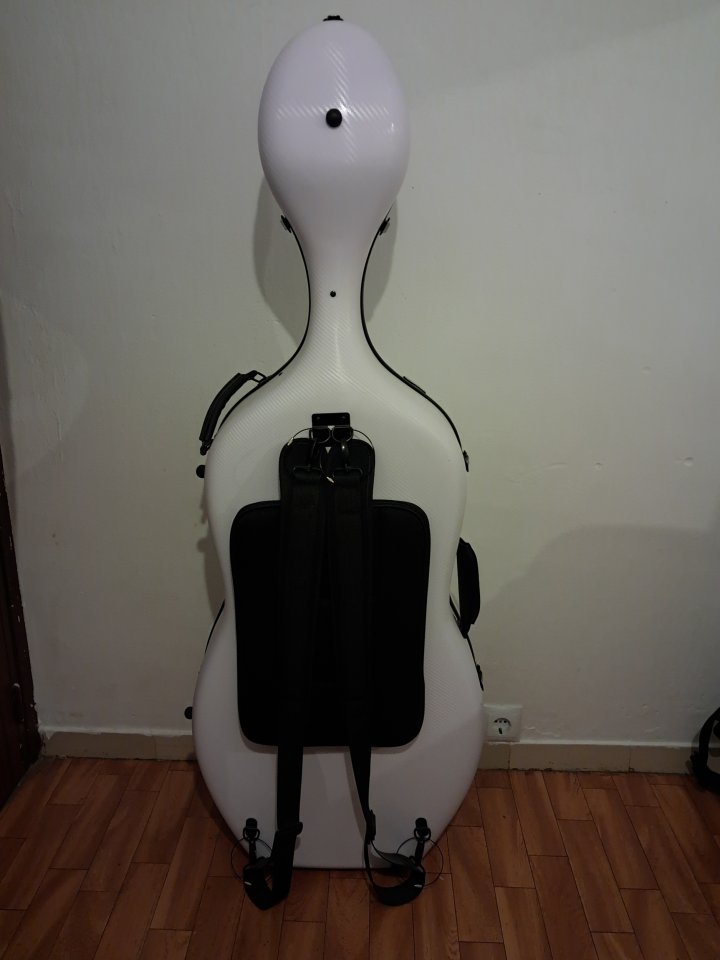 Violonchelo 4/4 premium + accesorios de segunda mano · Foto 9 de 10 · Barcelona · 5000 €