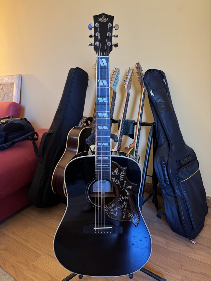 Sigma dm sg5 black de segunda mano · Foto 1 de 6 · Burgos · 500 €