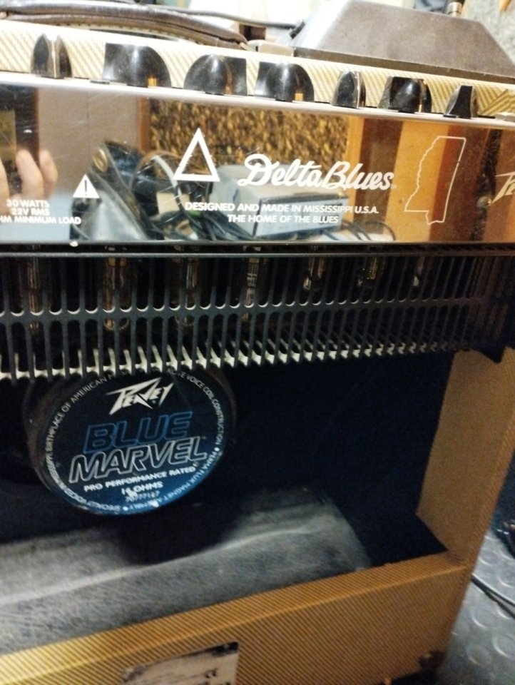 Peavey Delta Blues de 30 w 15'