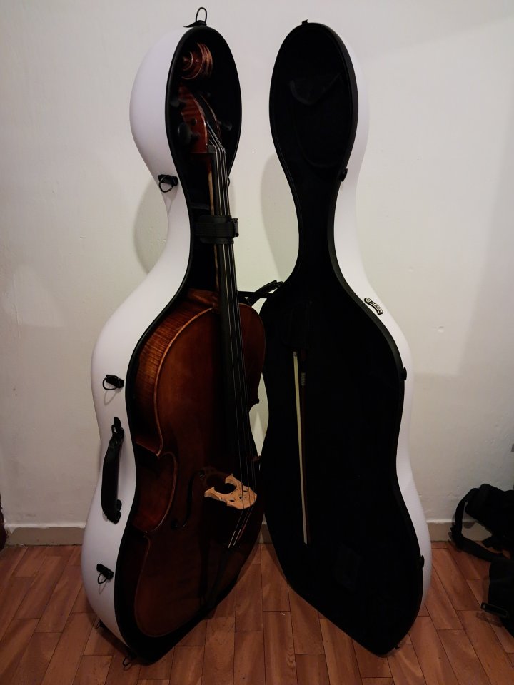 Violonchelo 4/4 premium + accesorios de segunda mano · Foto 10 de 10 · Barcelona · 5000 €