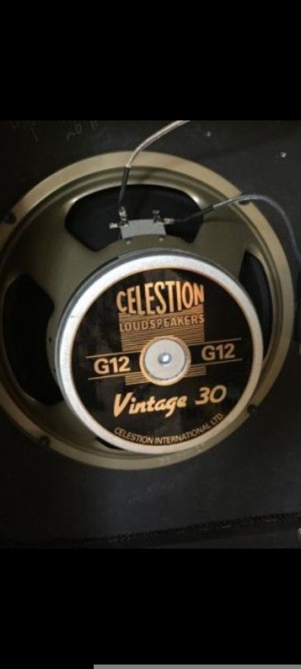 Celestion v30 8 ohm x creamback