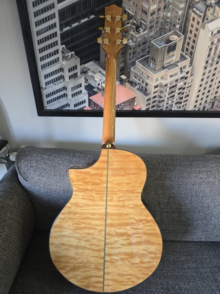 Ibanez EW50QME-NT Electroacústica de segunda mano · Foto 3 de 9 · Madrid · 299 €