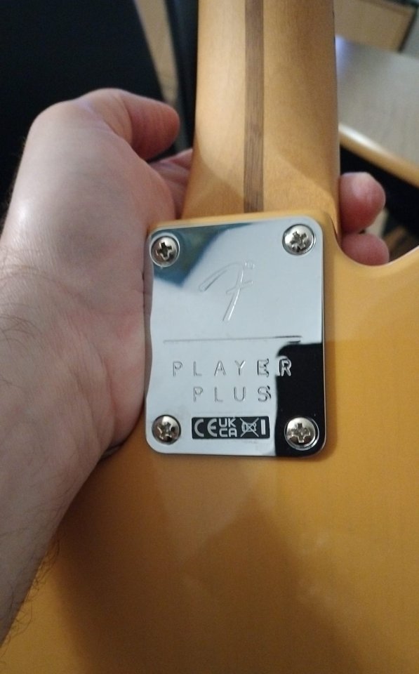 Fender telecaster player 2 plus