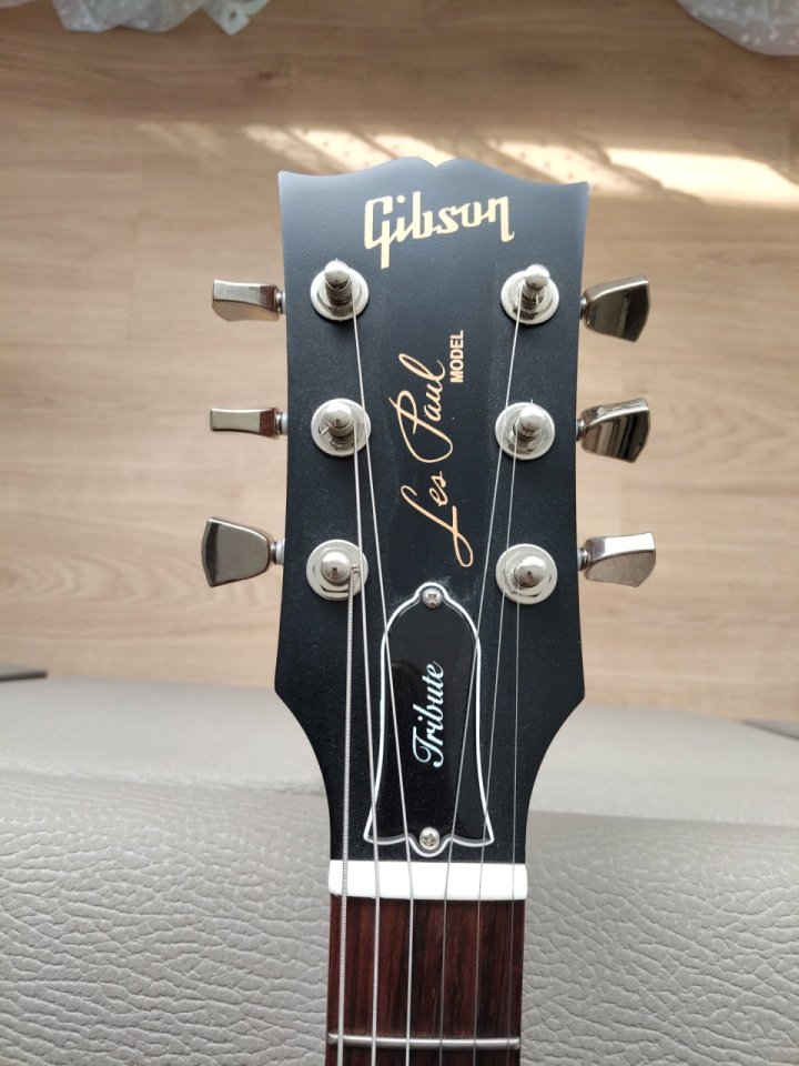 Gibson Les Paul Signature Honeyburst Ice Satin de segunda mano · Foto 2 de 9 · Pontevedra · 1150 €