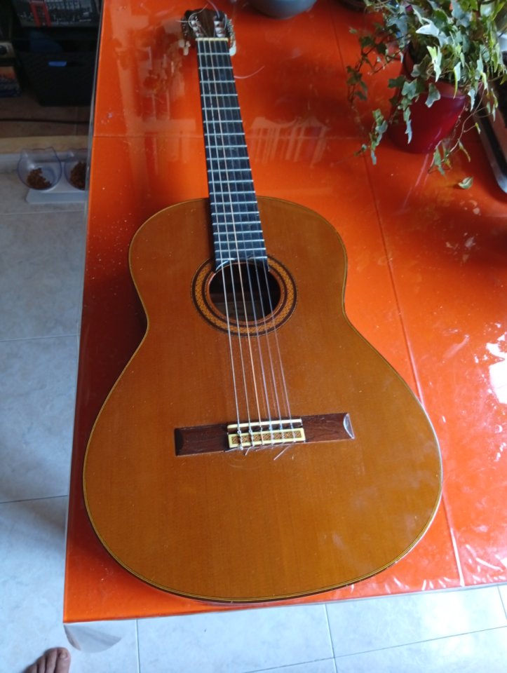 Guitarra MG Contreras año 1989. Numerada de segunda mano · Foto 9 de 9 · Madrid · 1500 €