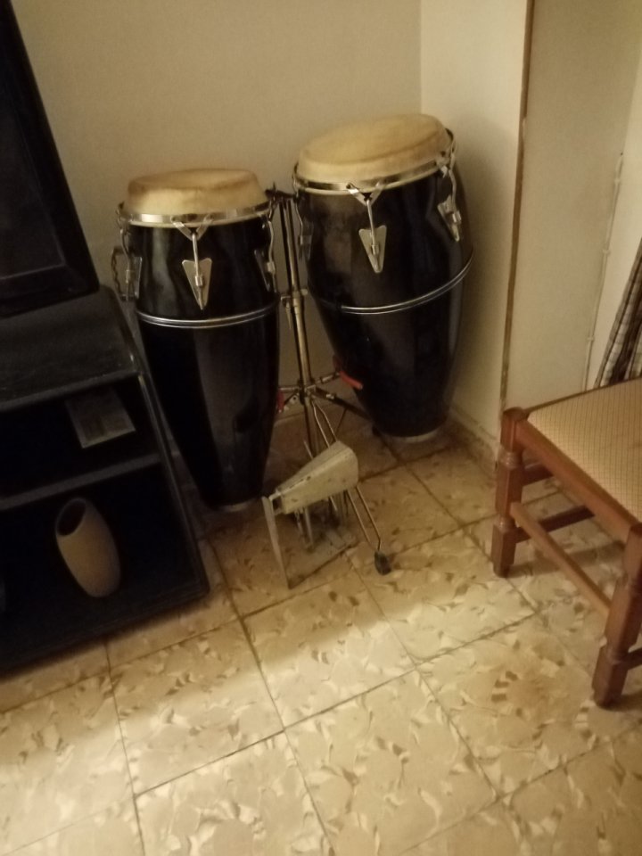 Congas asiaticas de segunda mano · Albacete · 600 €