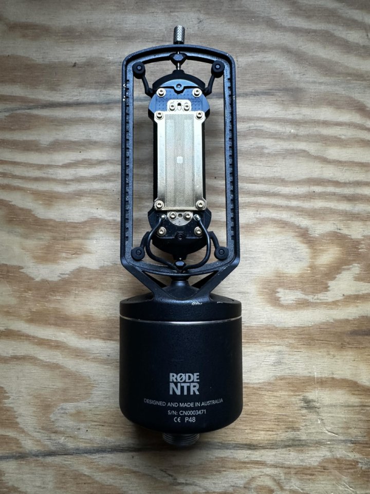 Micrófono Rode NTR