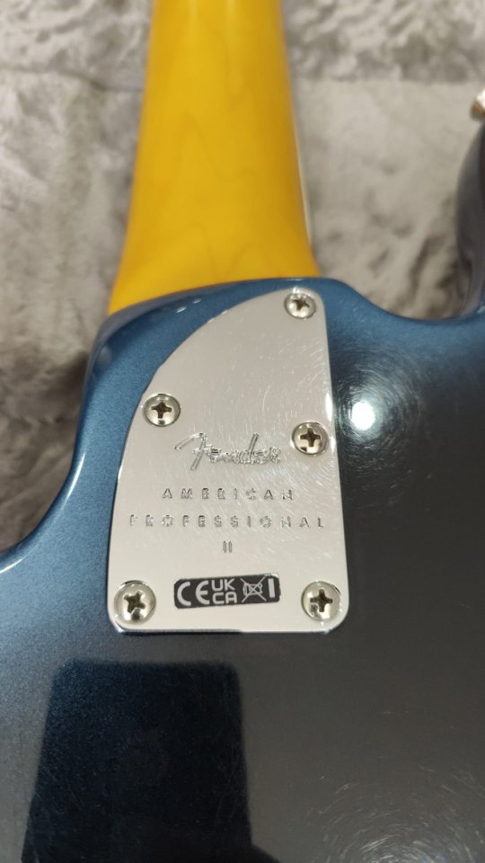 Fender AM Pro II P Bass V MN DK NIT de segunda mano · Foto 2 de 6 · Málaga · 2000 €