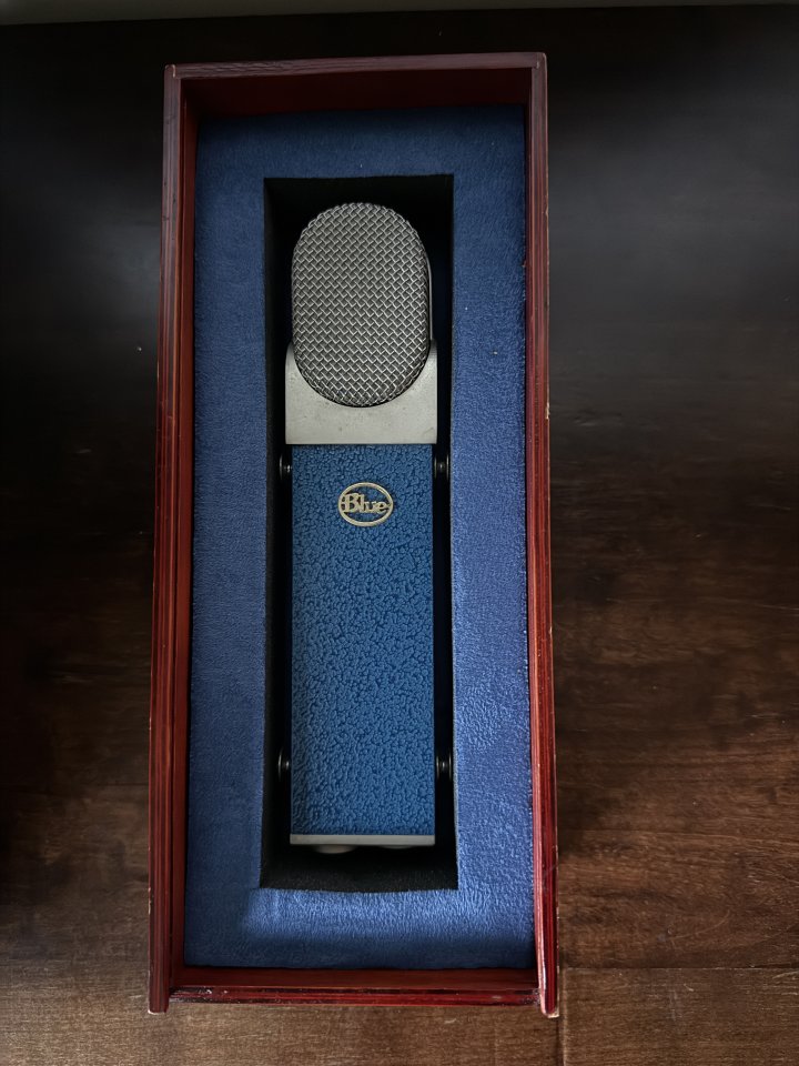 Micrófono Blue Blueberry