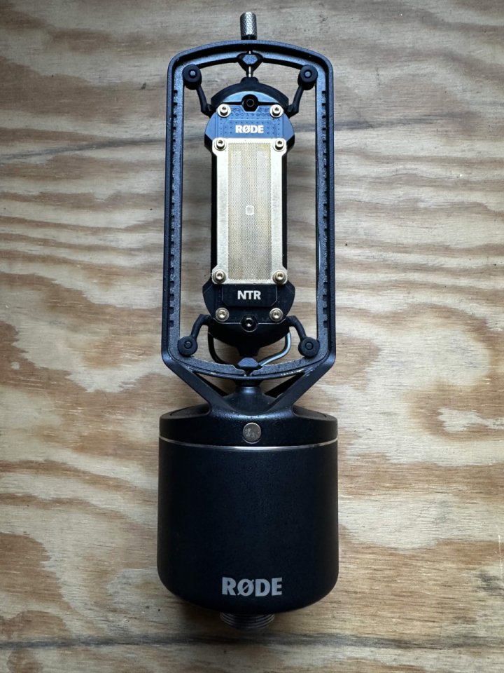 Micrófono Rode NTR