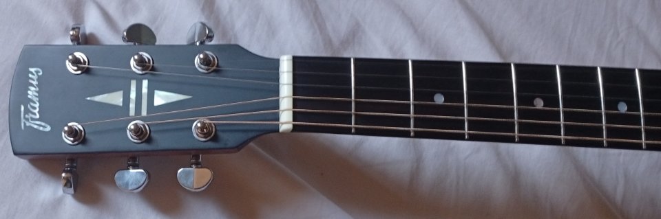 FRAMUS FJ14 Acústica Jumbo