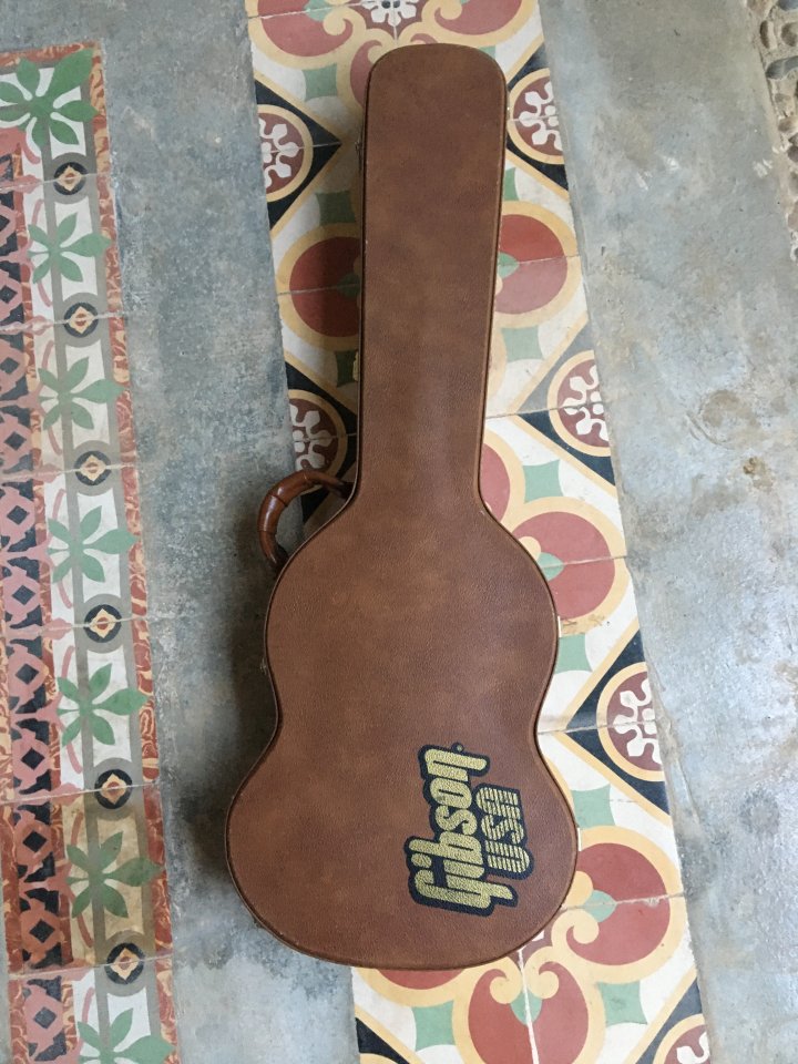 cambio SG de 2001 por Epiphone Casino Elitist