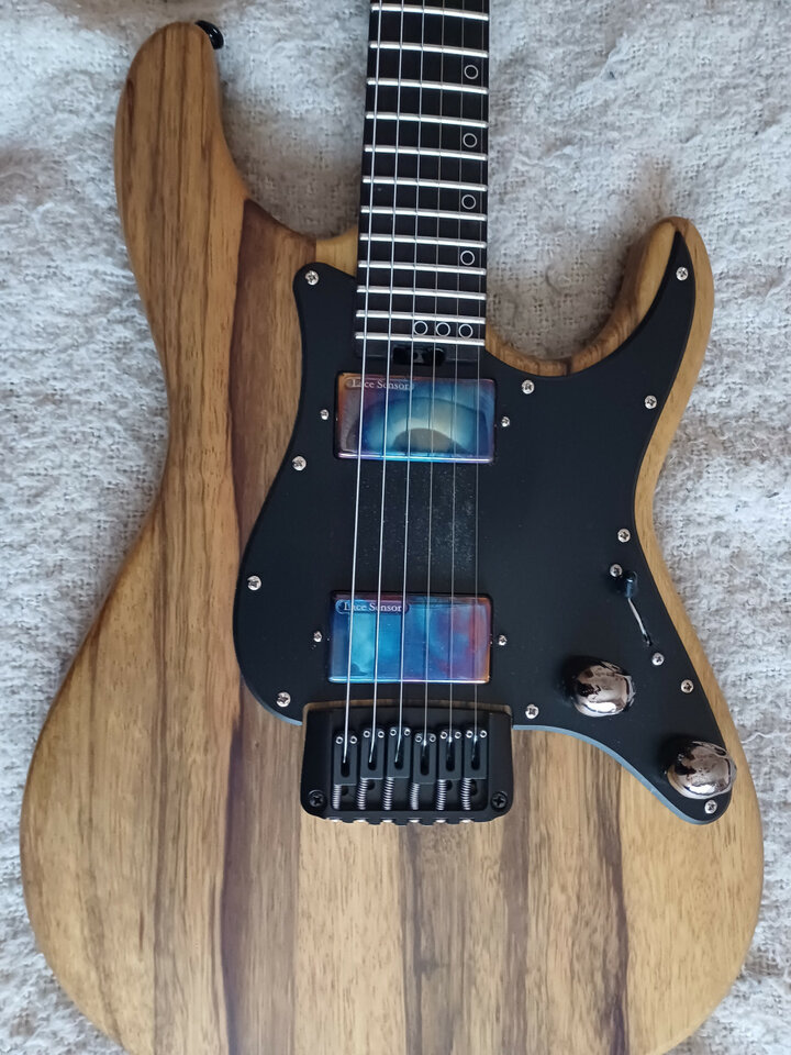 Schecter Sun Valley Super Shredder BL