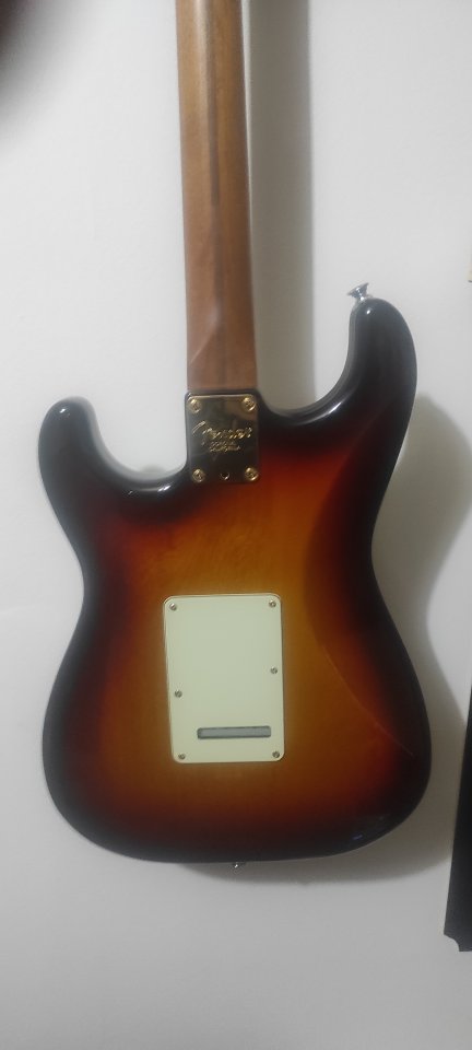 Fender Stratocaster Usa Hot Rails