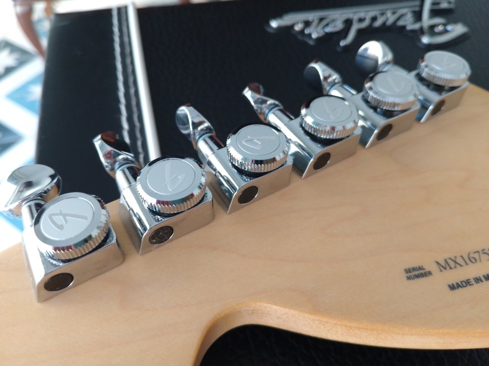 Fender Stratocaster Deluxe RW 2TSB