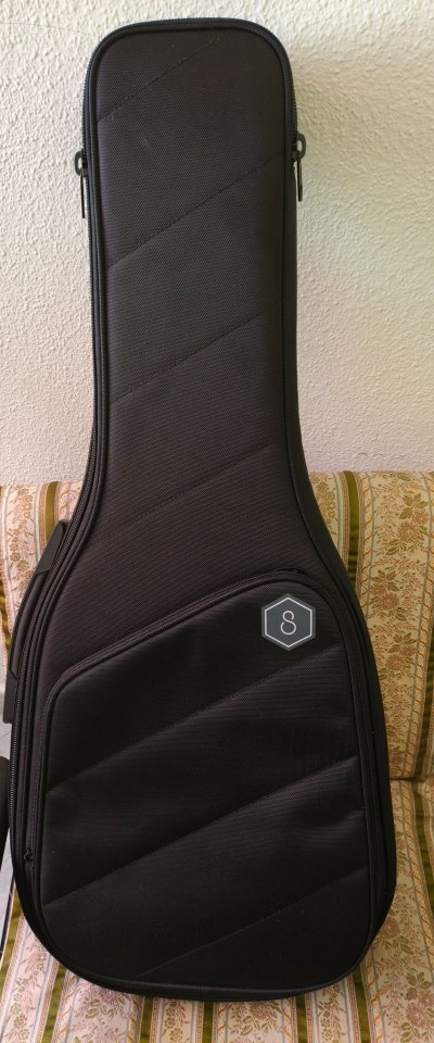 Sire Larry Carlton X6 headless + dimarzio