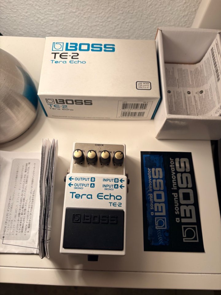 Boss Tera Echo, delay de segunda mano · Foto 1 de 6 · Córdoba · 120 €