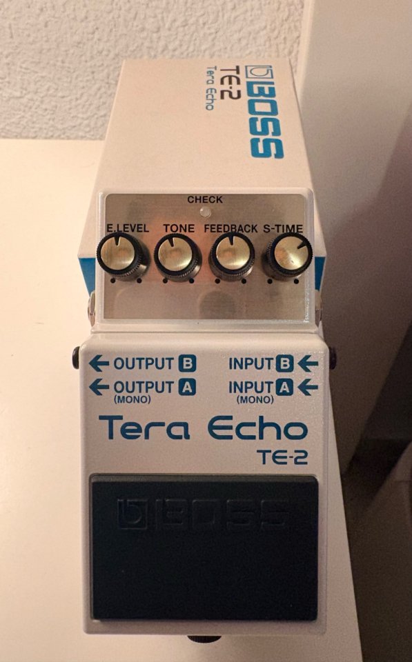 Boss Tera Echo, delay de segunda mano · Foto 2 de 6 · Córdoba · 120 €