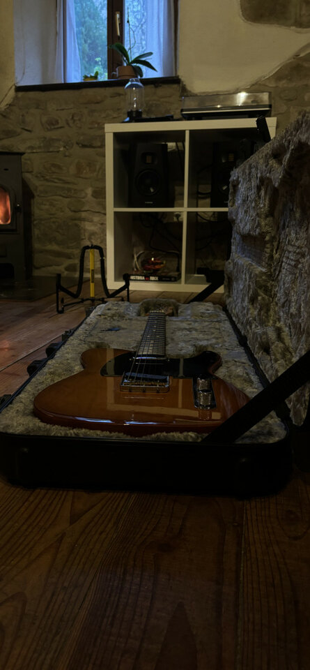 Fender American Performer Telecaster