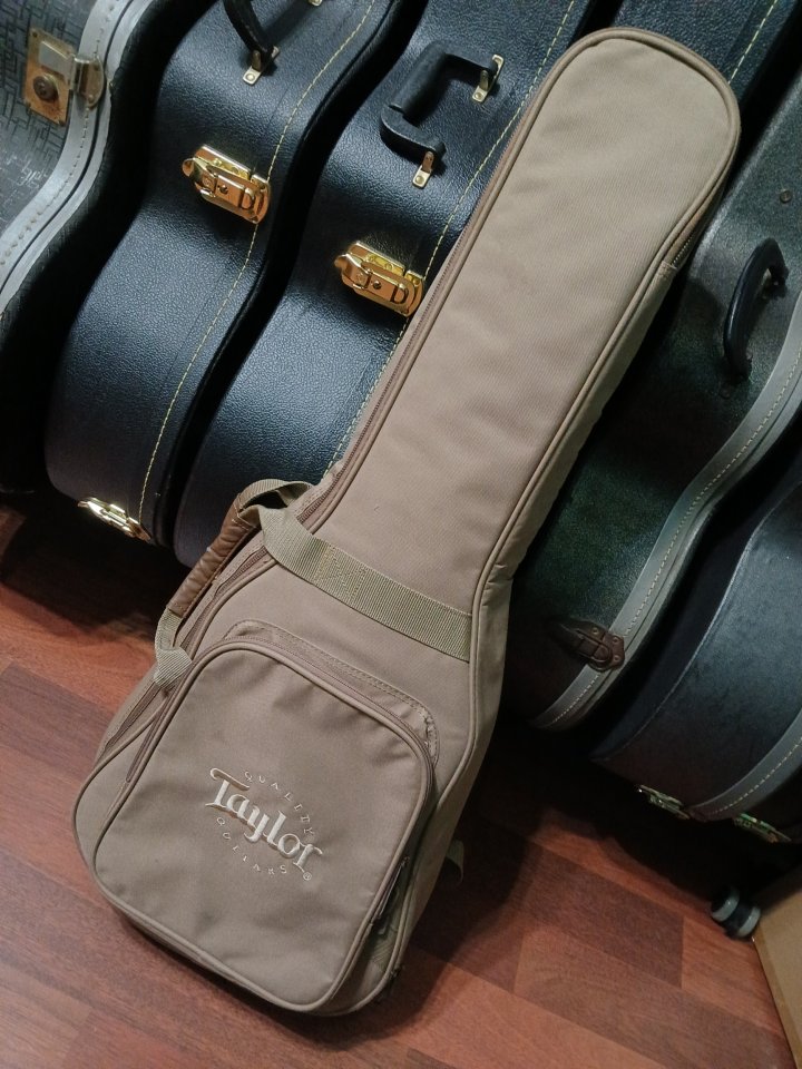 //vendo Taylor Baby BT1E