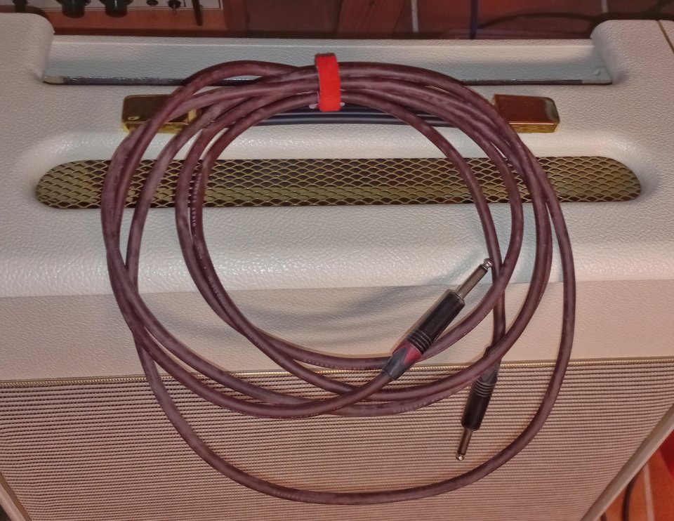 Evidence Audio The Forte cable guitarra