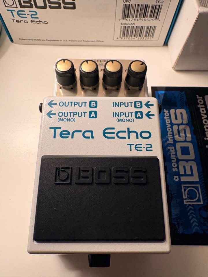 Boss Tera Echo, delay de segunda mano · Foto 4 de 6 · Córdoba · 120 €