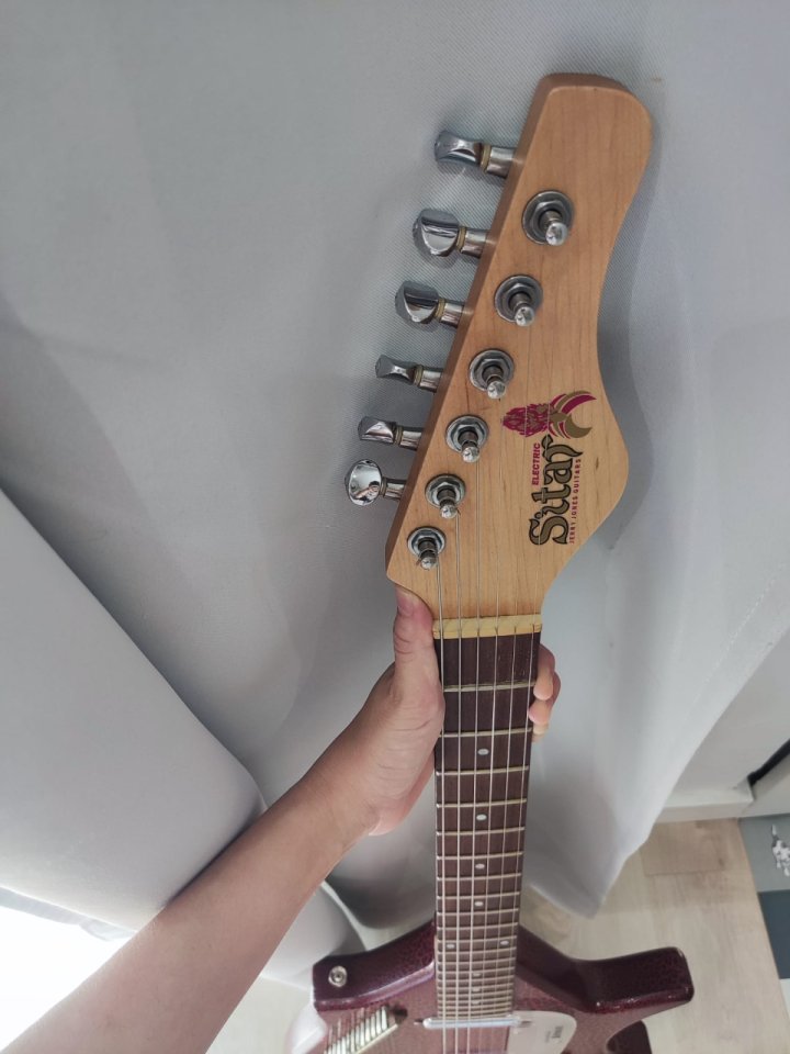 Electric Sitar de segunda mano · Foto 9 de 10 · Alicante · 1800 €
