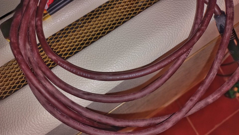 Evidence Audio The Forte cable guitarra