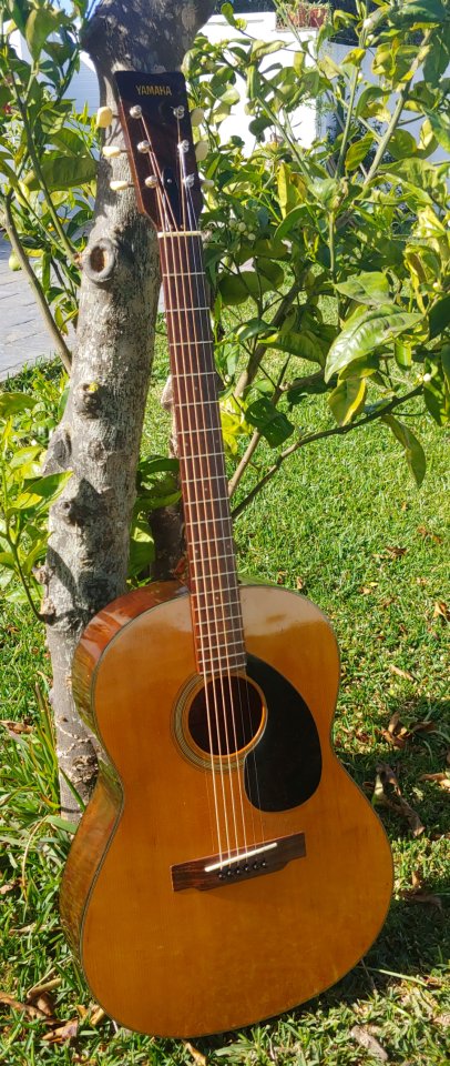 Yamaha FG-75 Red Label de segunda mano · Foto 1 de 8 · Cádiz · 400 €