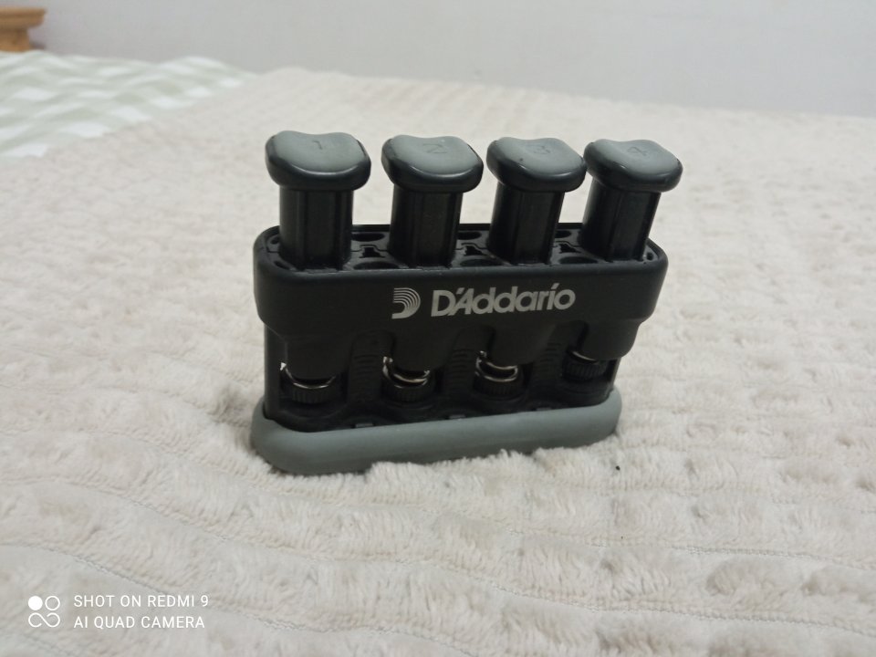 Regalo ejercitador D'Addario