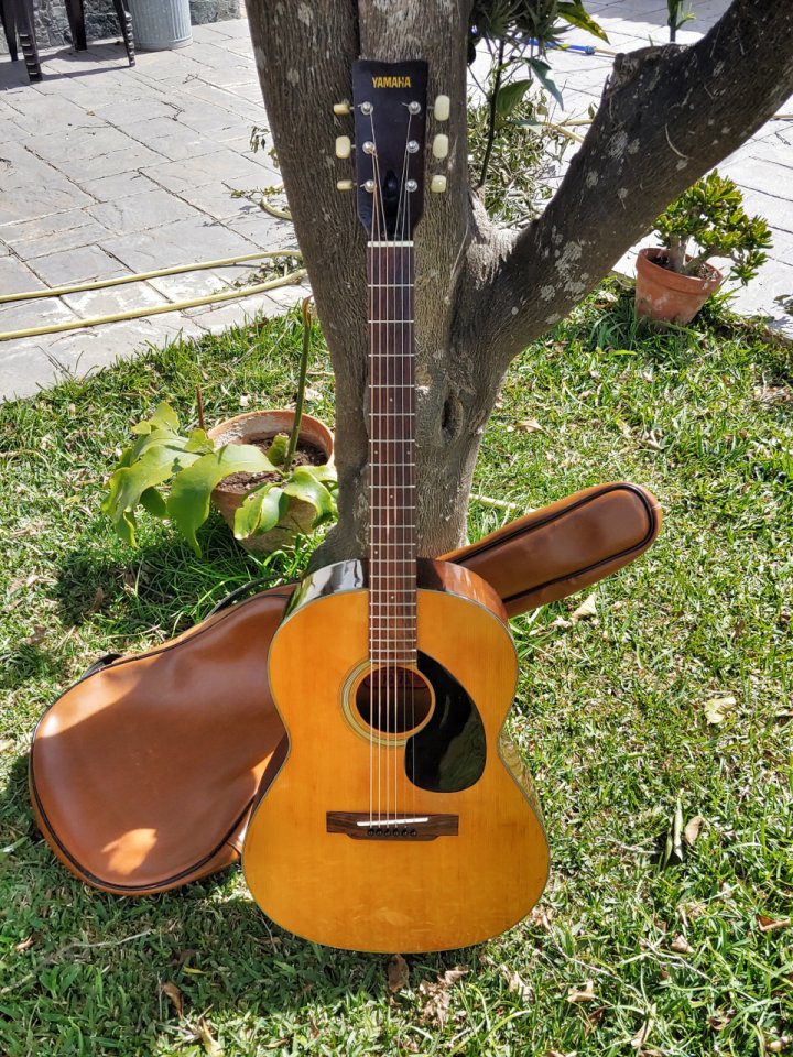 Yamaha FG-75 Red Label de segunda mano · Foto 2 de 8 · Cádiz · 400 €