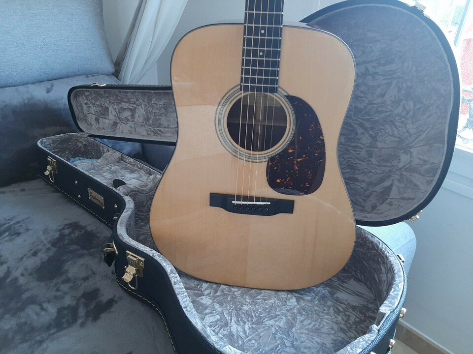 Eastman E10D MEJORADA