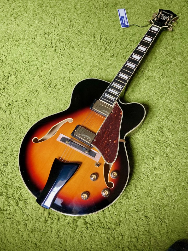 Ibanez AF95