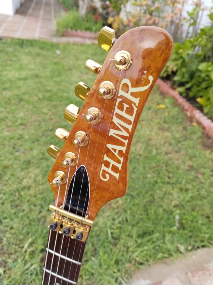 Hamer Vintage S USA Amberbust de segunda mano · Foto 4 de 10 · Málaga · 3400 €