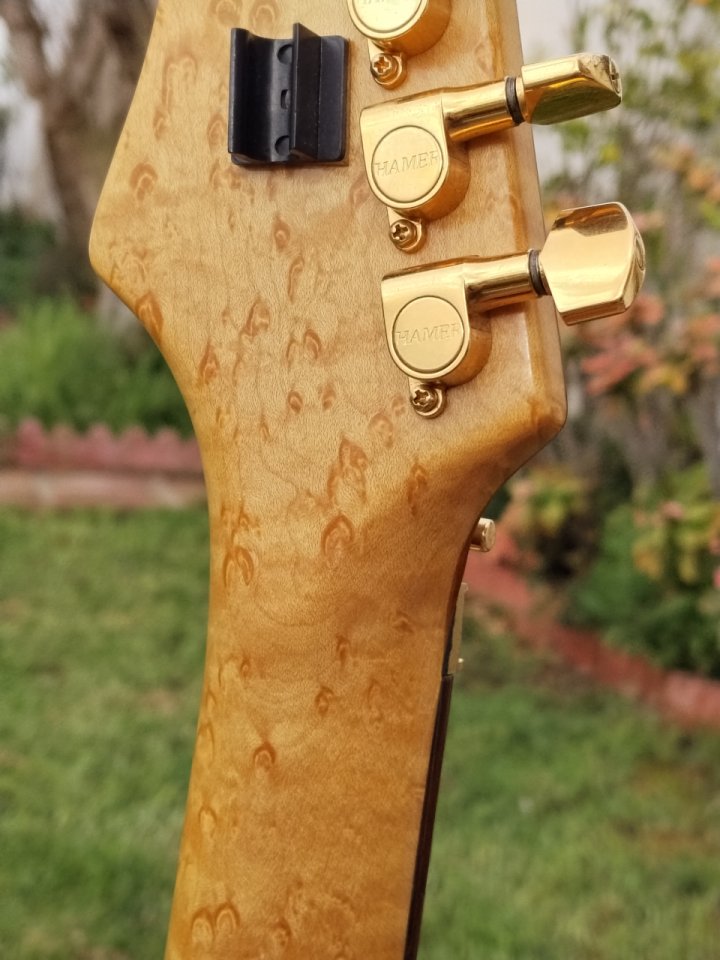 Hamer Vintage S USA Amberbust de segunda mano · Foto 5 de 10 · Málaga · 3400 €