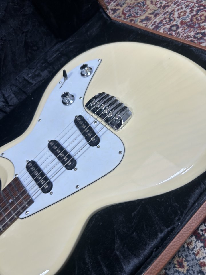 Taylor Solid body usa