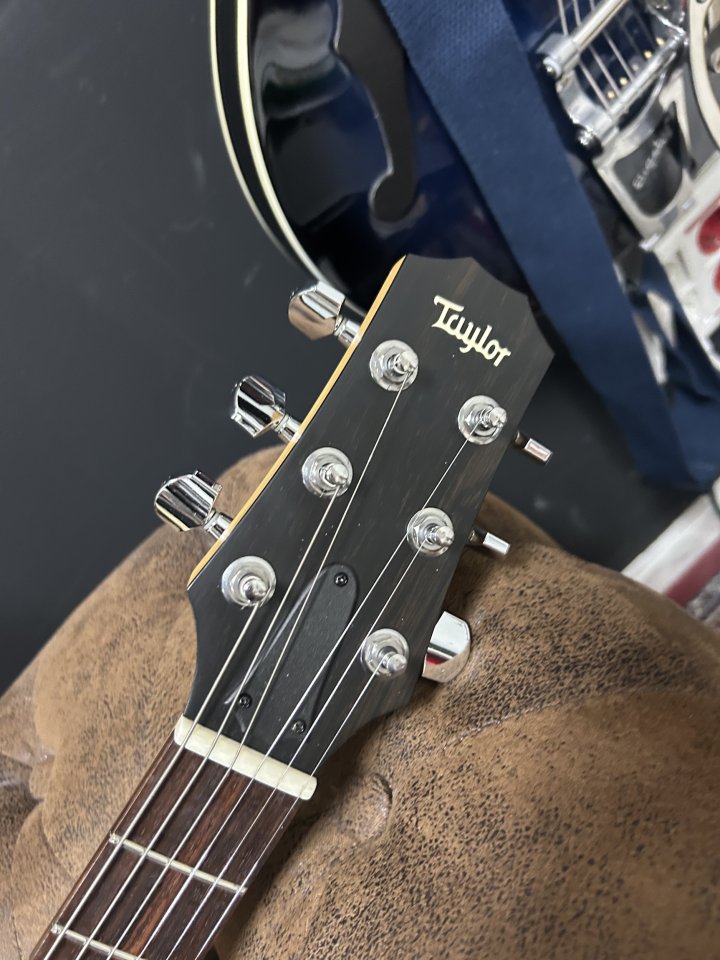 Taylor Solid body usa