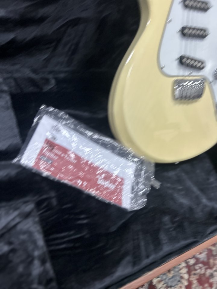 Taylor Solid body usa