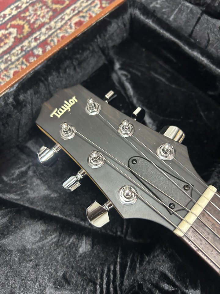 Taylor Solid body usa