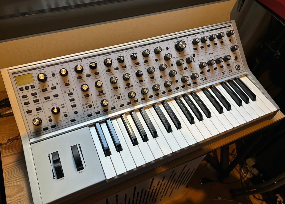 Moog Subsequent 37 CV de segunda mano · Foto 1 de 9 · Barcelona · 2200 €